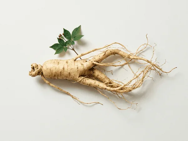 Ginseng coreano — ingrediente natural