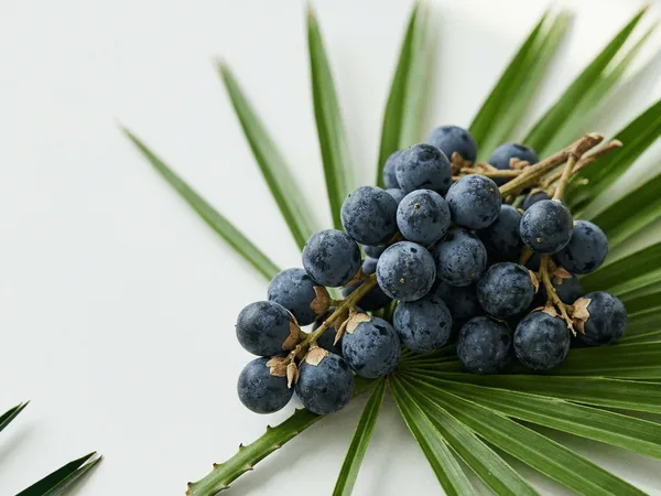 Saw Palmetto — ingrediente natural